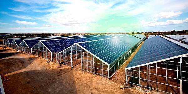 La Serra Fotovoltaica: sostenibilità e bellezza insieme
