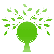 Mercato energie rinnovabili: le aziende più green