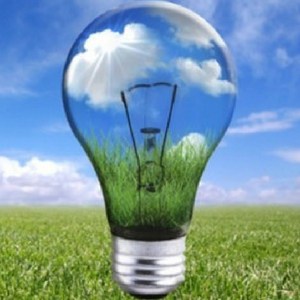 Enel Energia Pura Bioraria: scopri l’offerta Enel