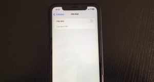 come eliminare il pin della sim 300x160
